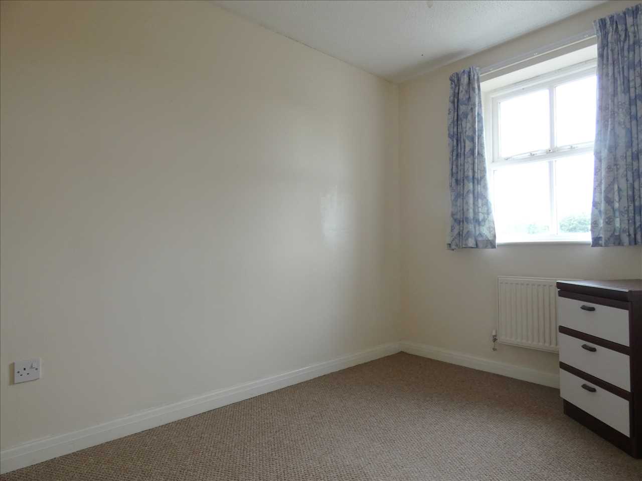 Bluebell Close - Picture 5
