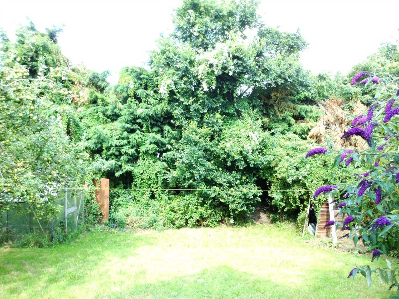 Grammar School Walk - Picture 10