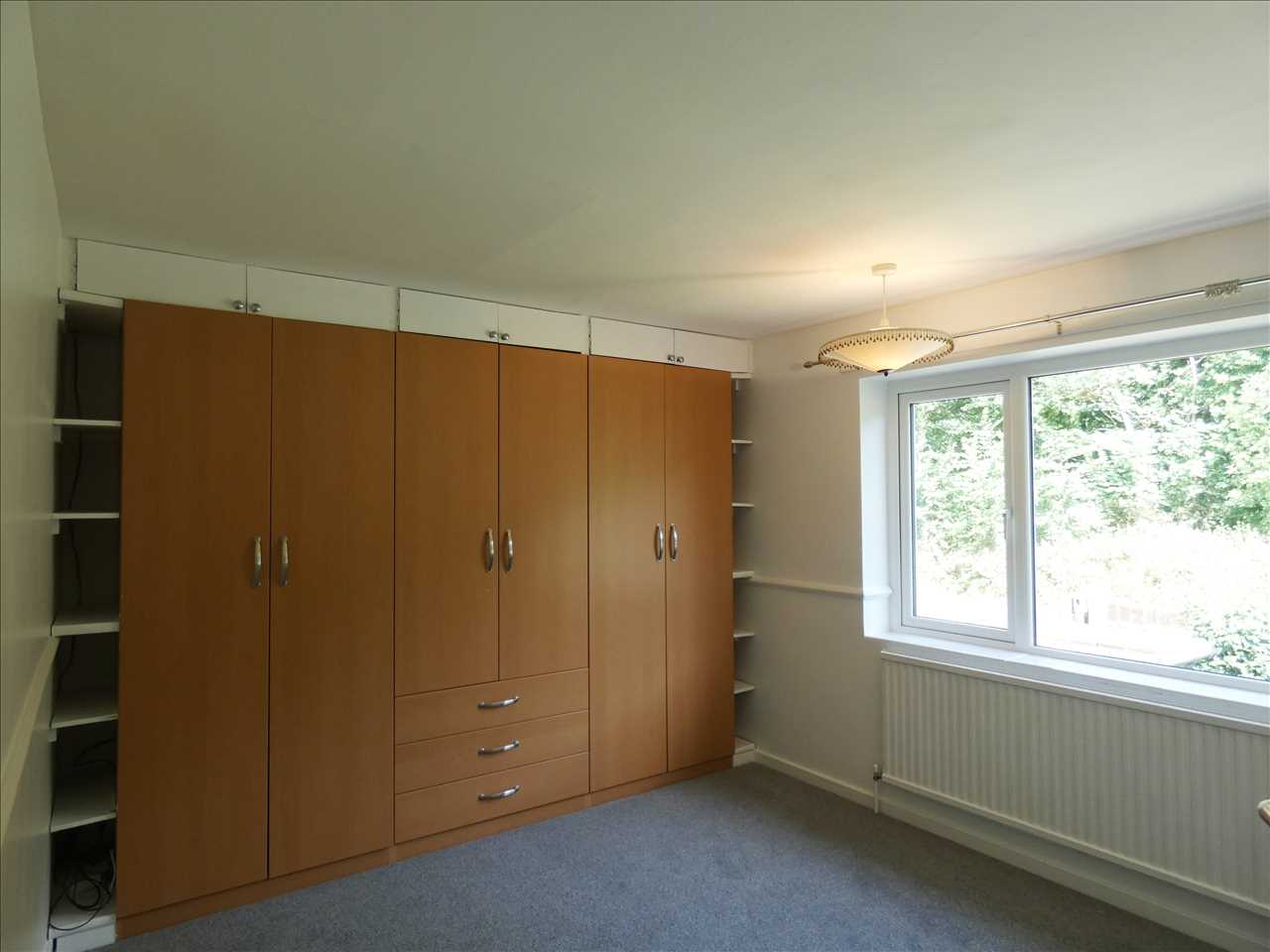 Chapman Avenue - Picture 6