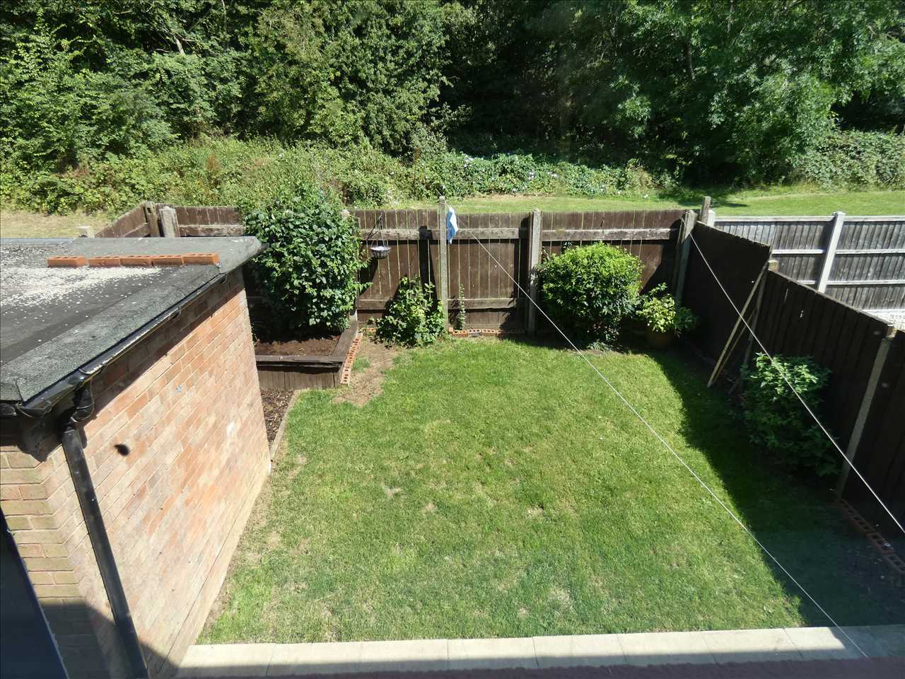 Chapman Avenue - Picture 9