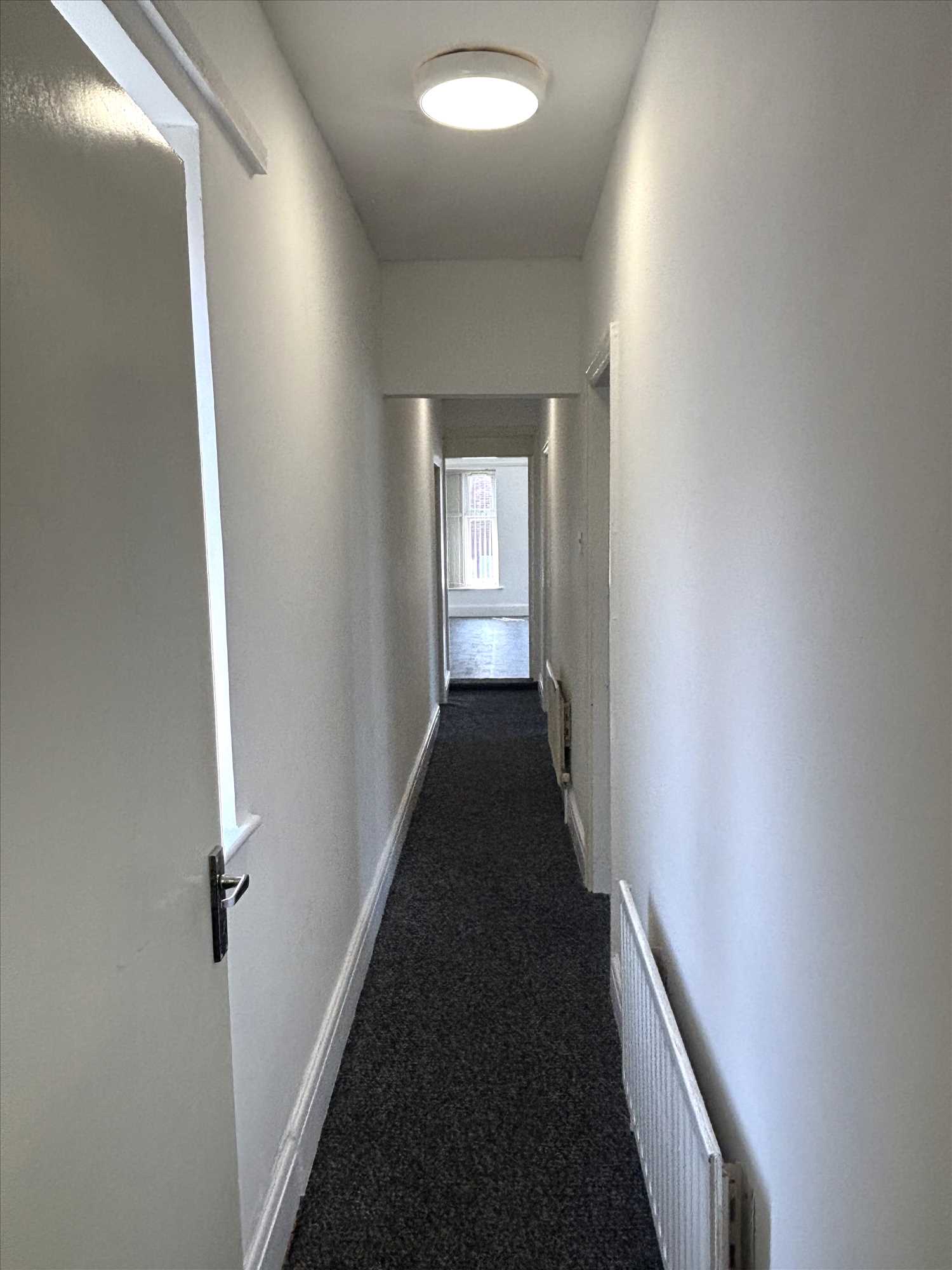Collum Lane - Picture 2