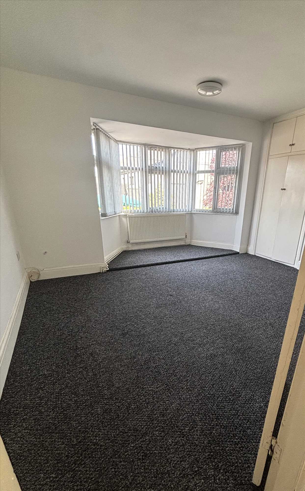 Collum Lane - Picture 4