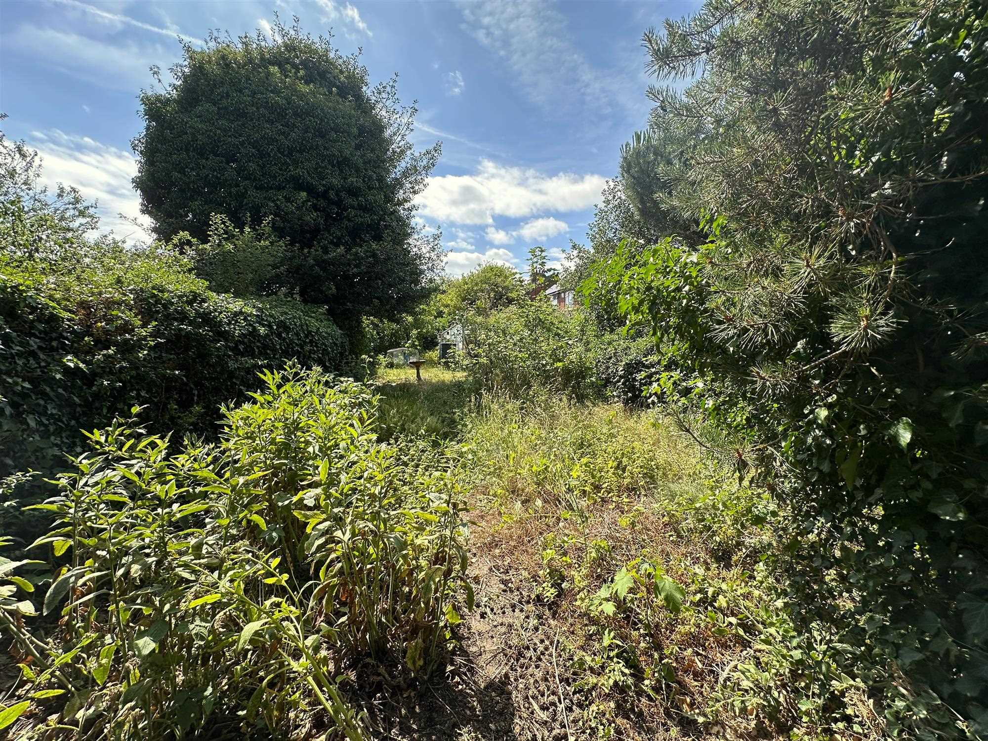 Ashby Road - Picture 17