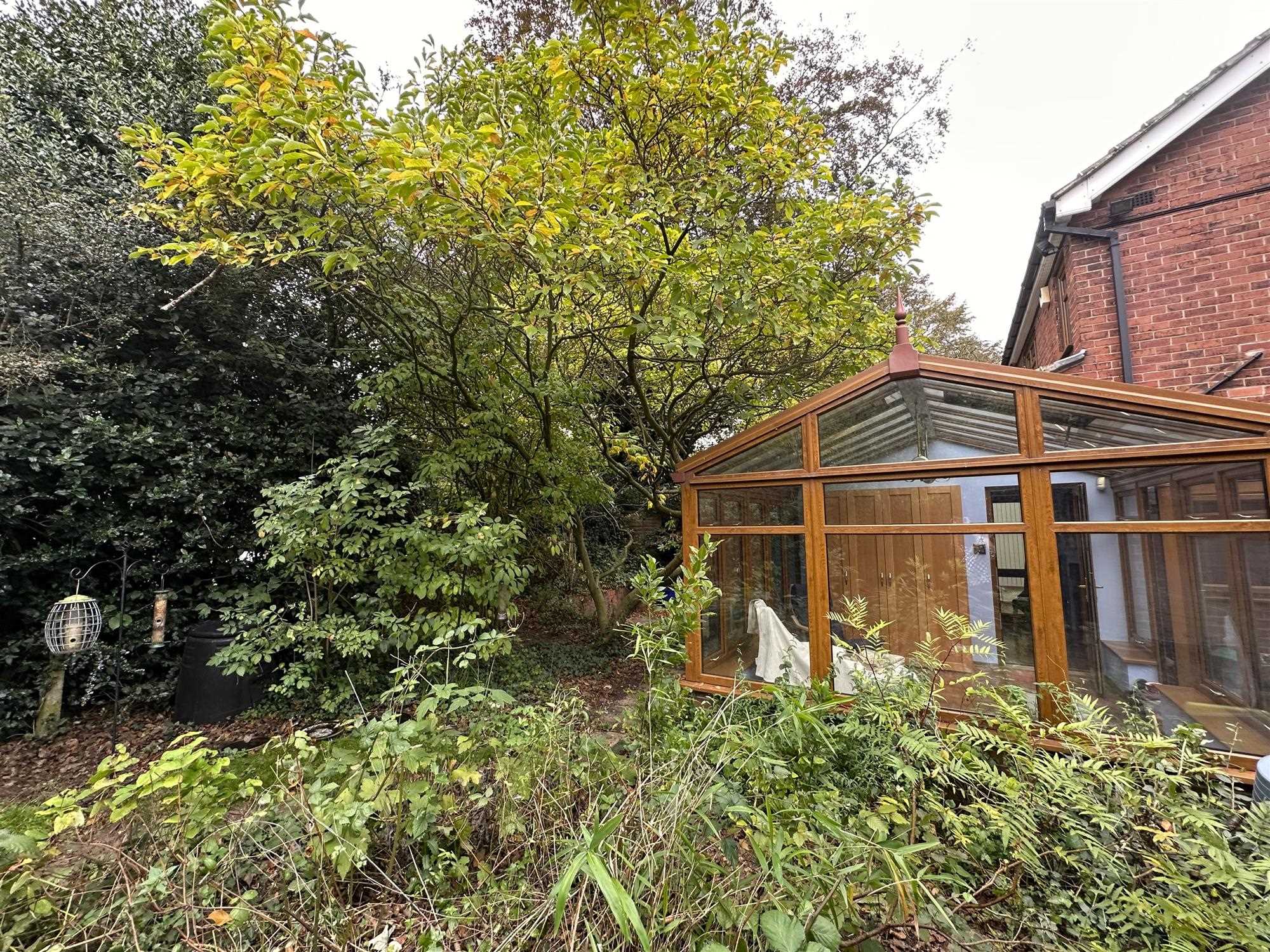 Albourne Avenue - Picture 23