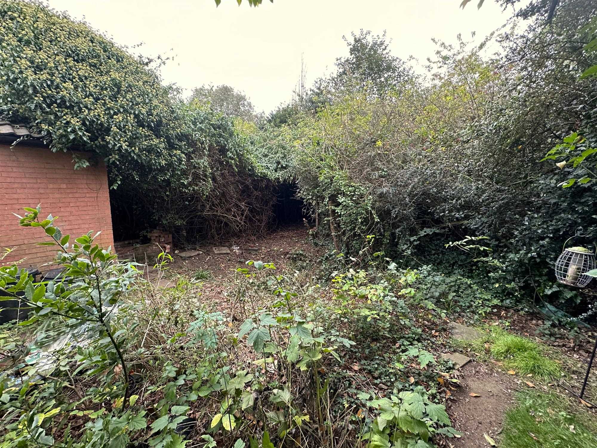 Albourne Avenue - Picture 26