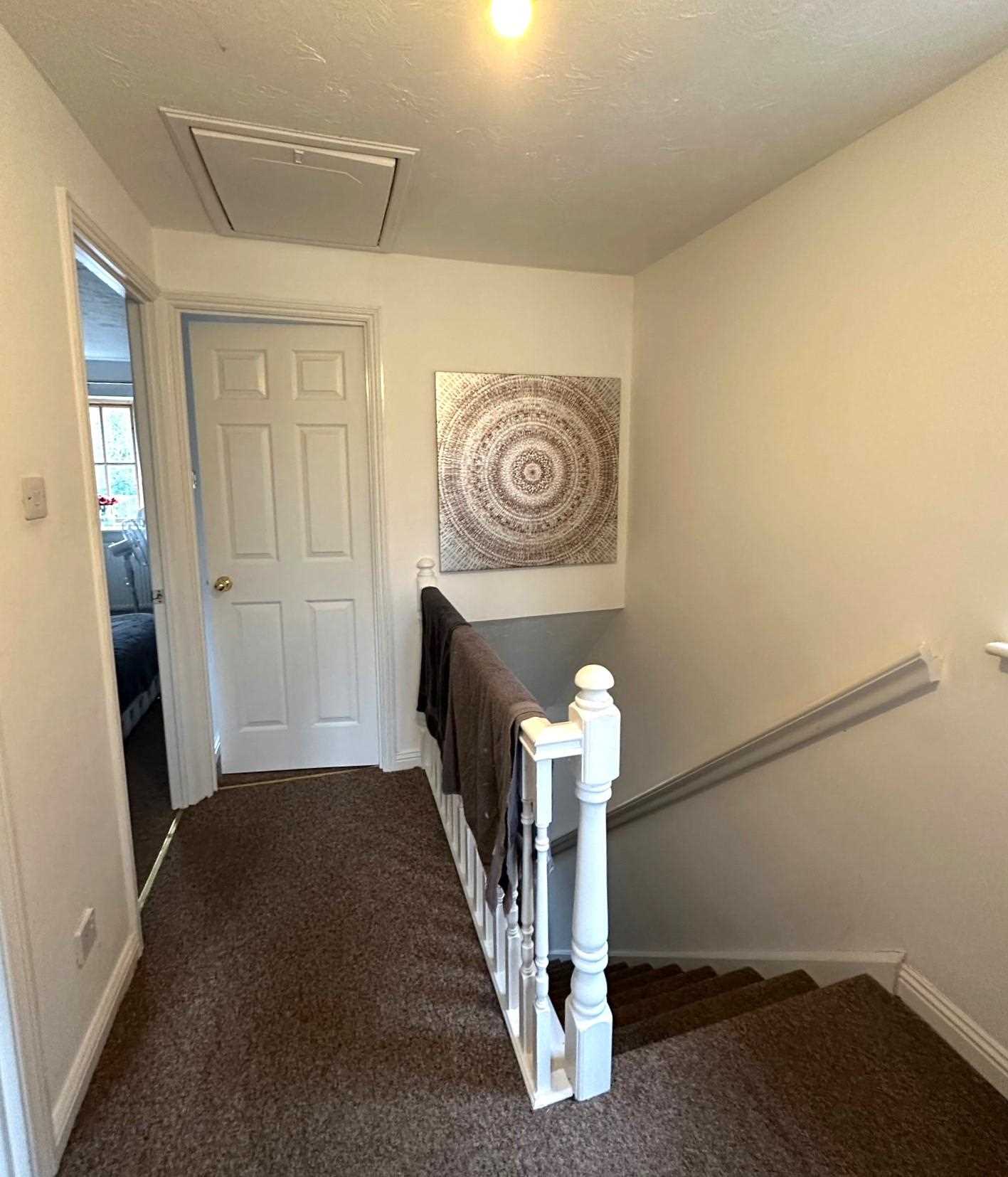 Orchid Rise - Picture 8