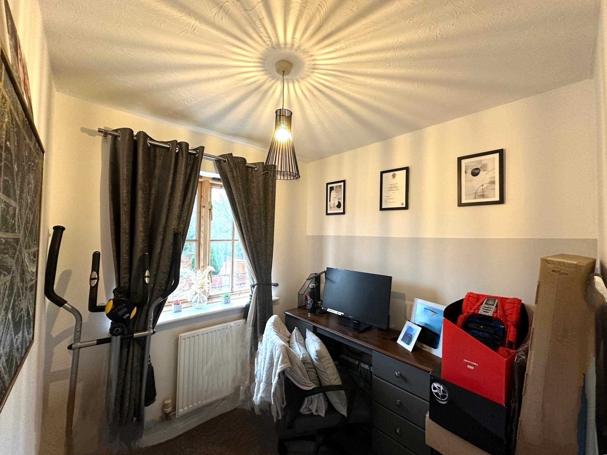 Orchid Rise - Picture 11