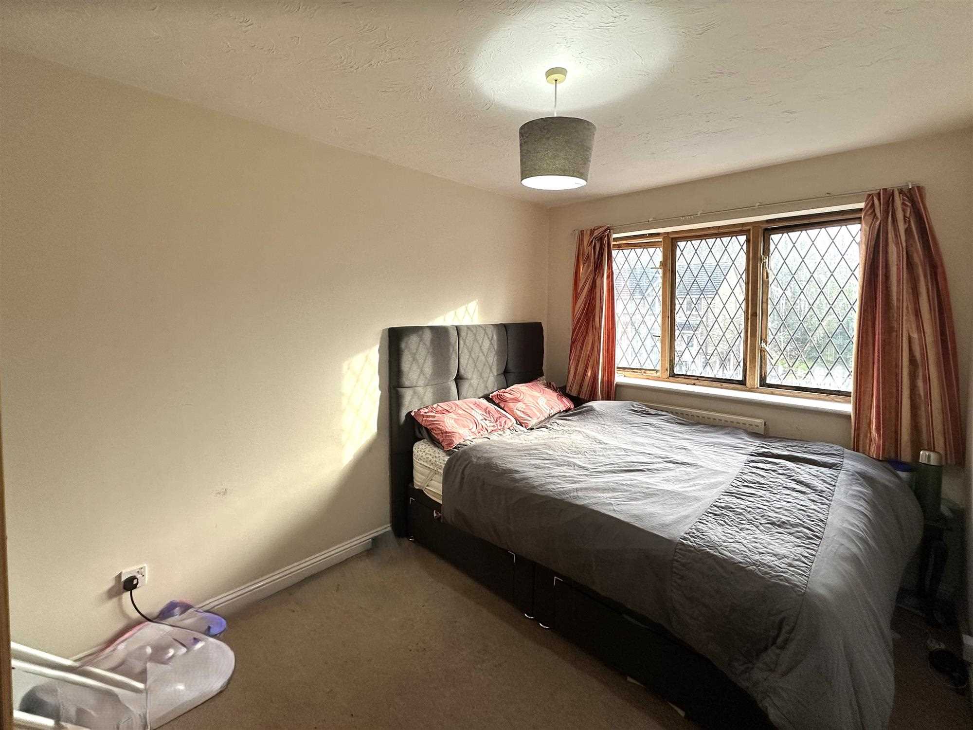 Orchid Rise - Picture 7