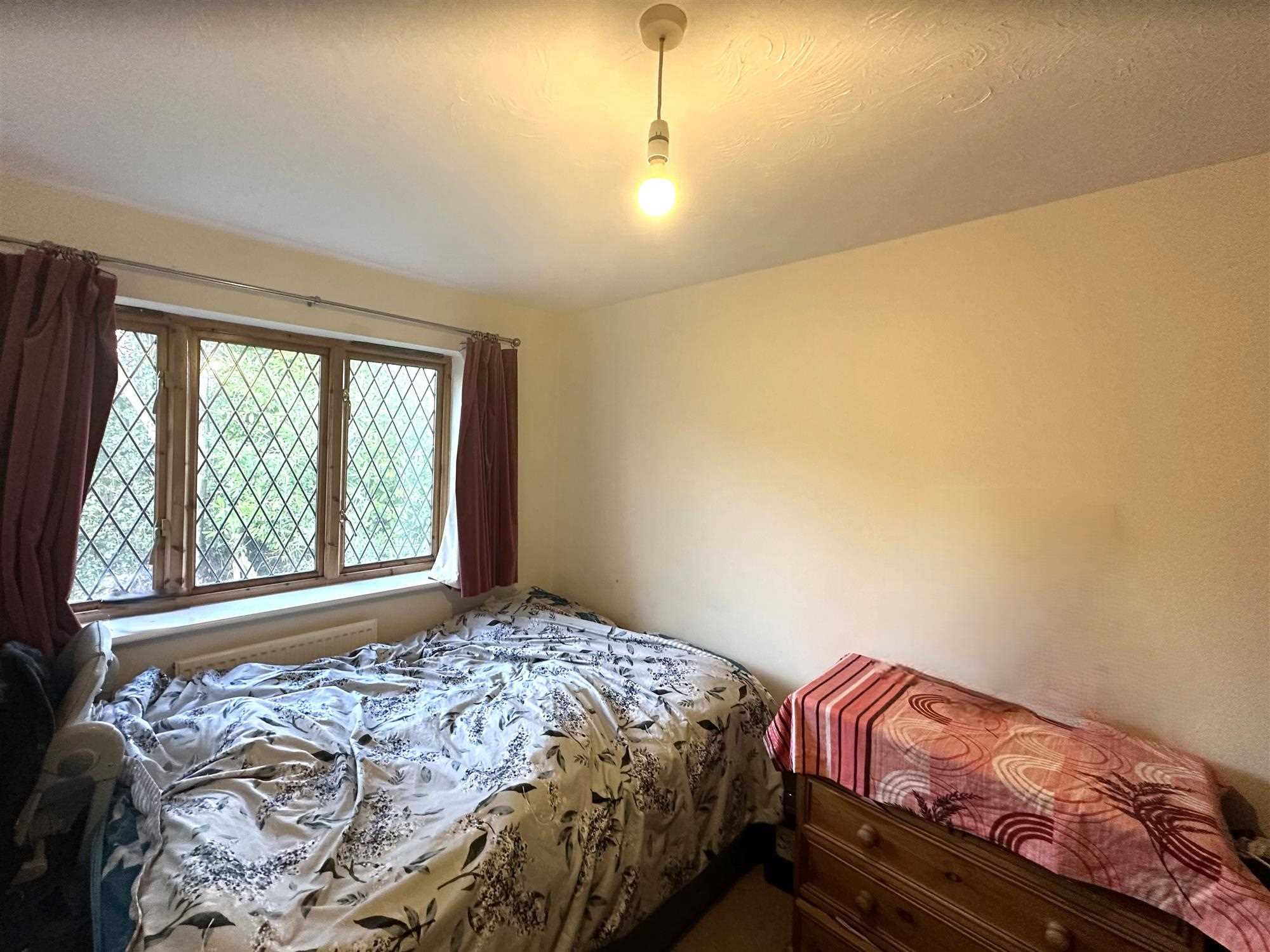 Orchid Rise - Picture 8