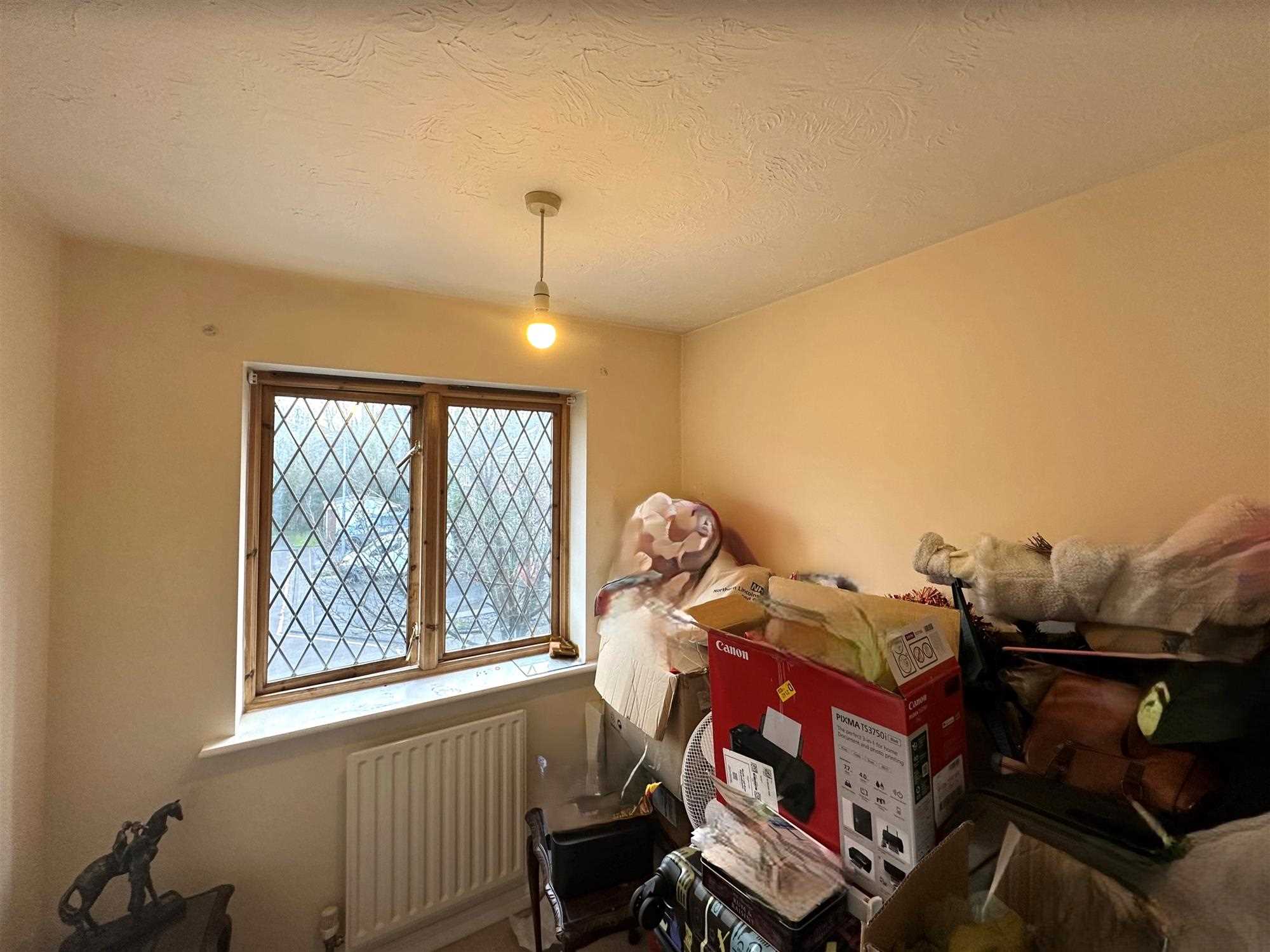 Orchid Rise - Picture 9