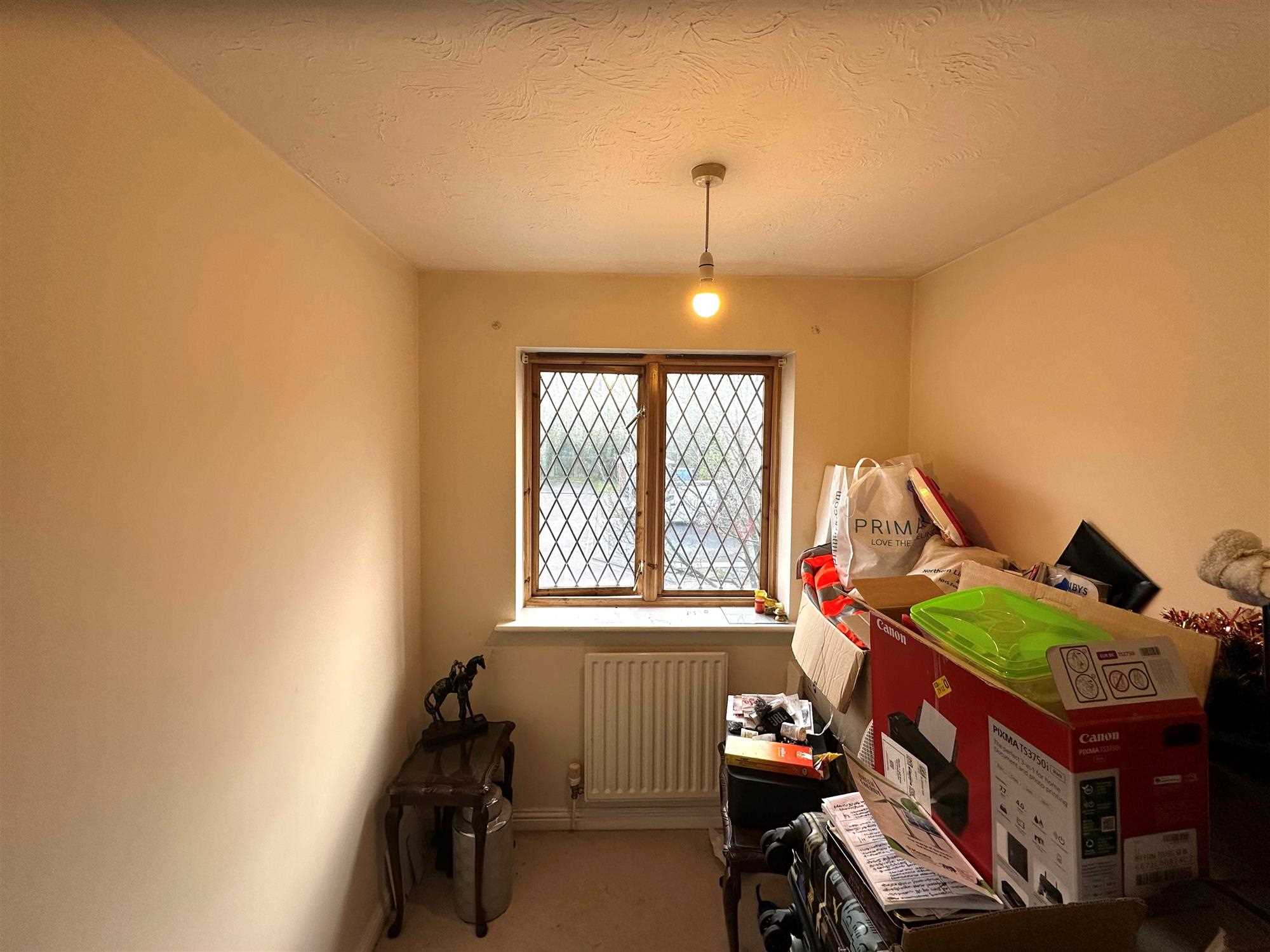 Orchid Rise - Picture 10