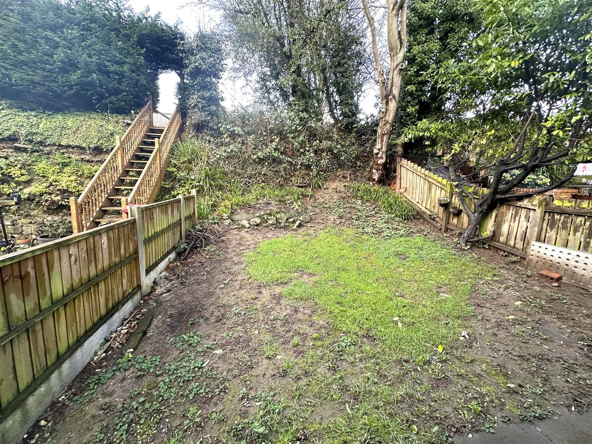 Orchid Rise - Picture 11