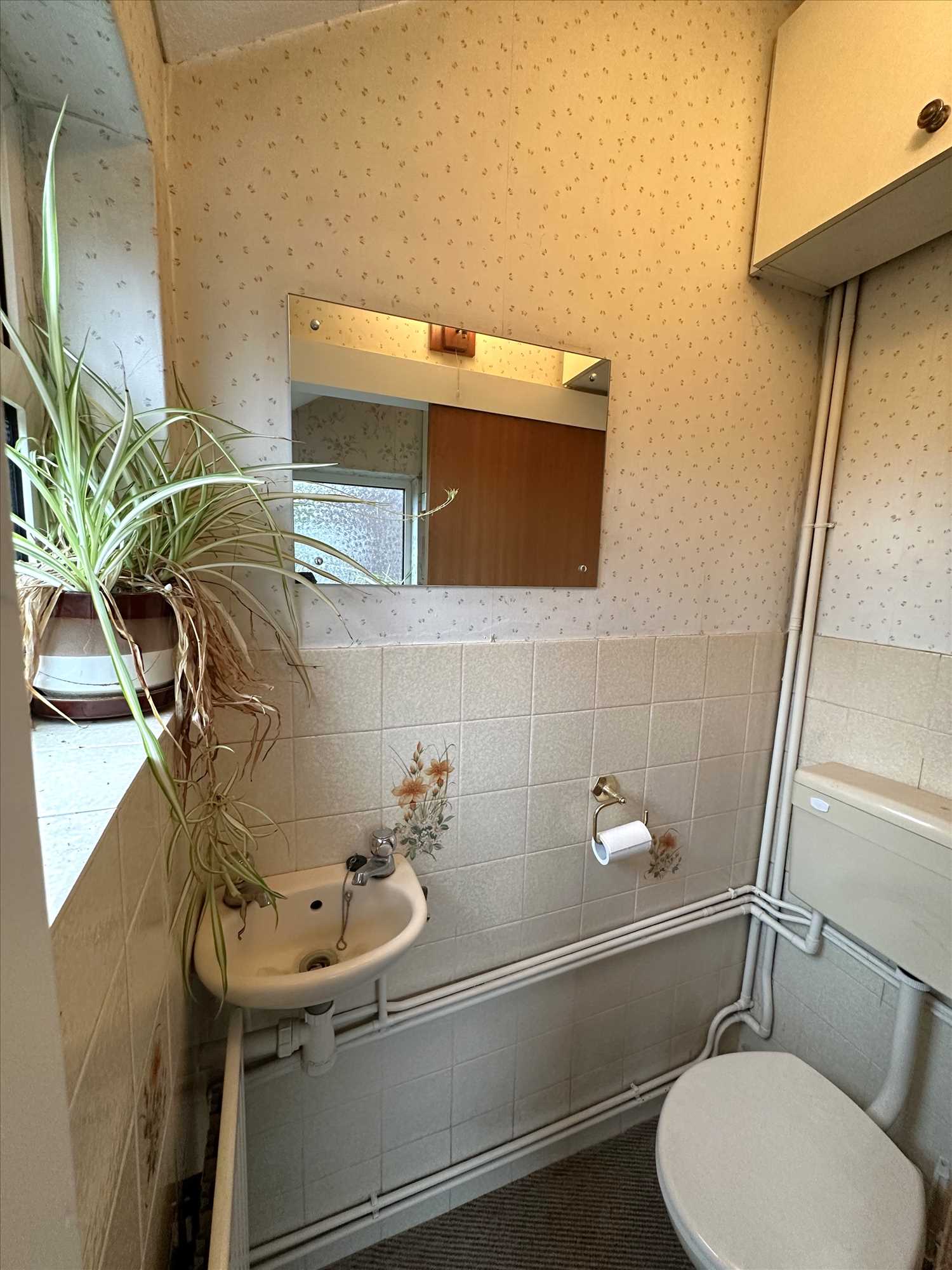 Newland Avenue - Picture 9