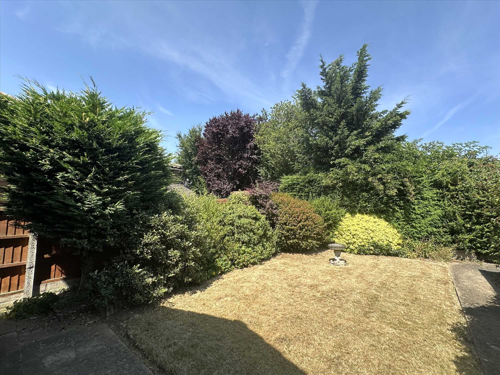 Blenheim Court - Picture 12