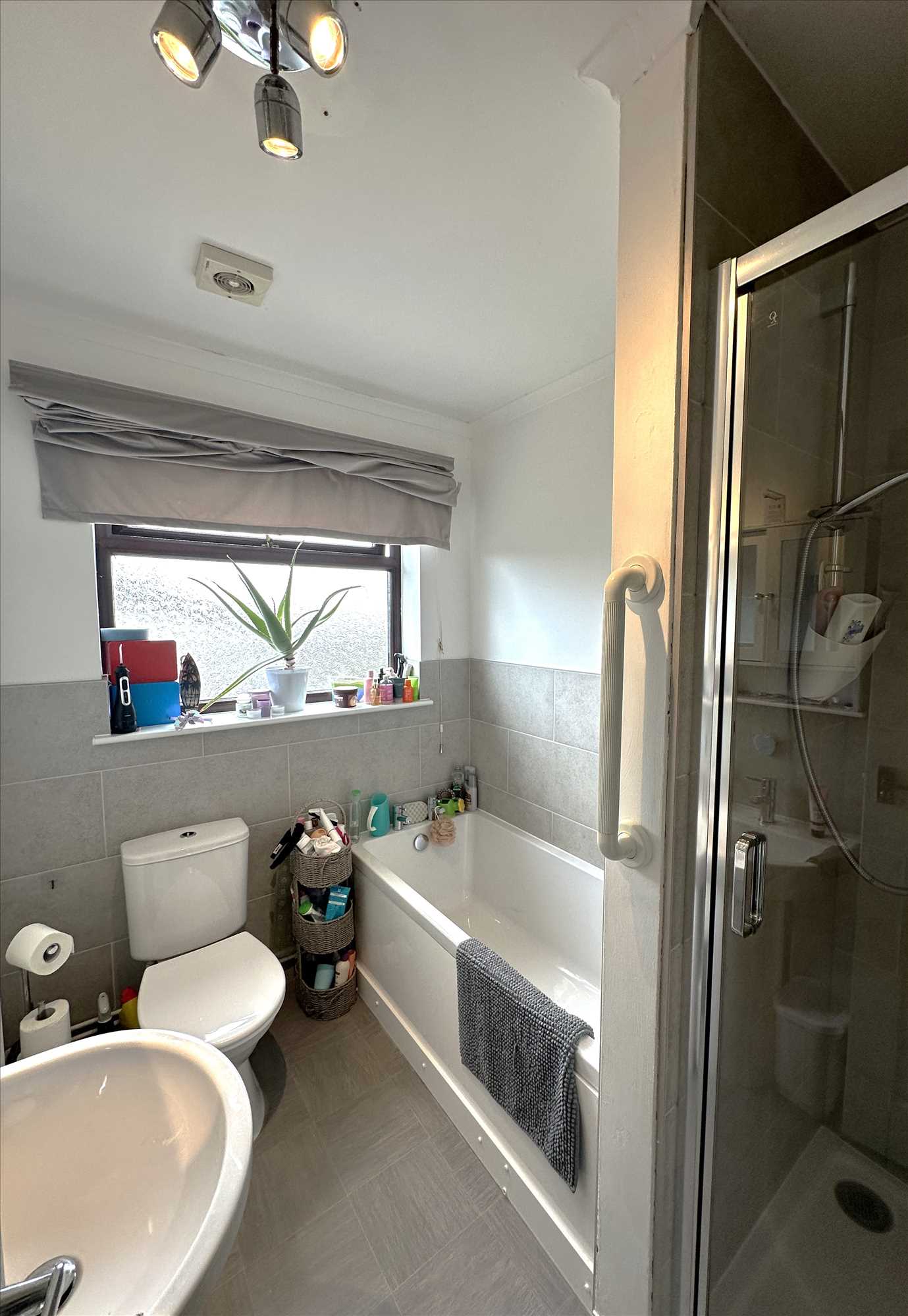 Chestnut Close - Picture 12